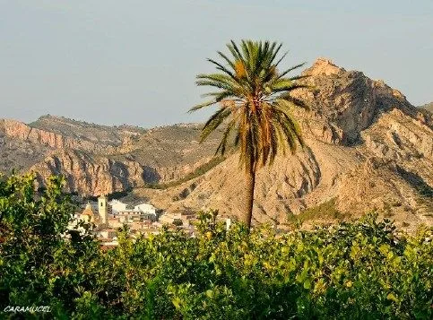 Vista panorámica del Valle del Ricote en Murcia, ejemplo de entorno rural para construir en pedanías murcianas