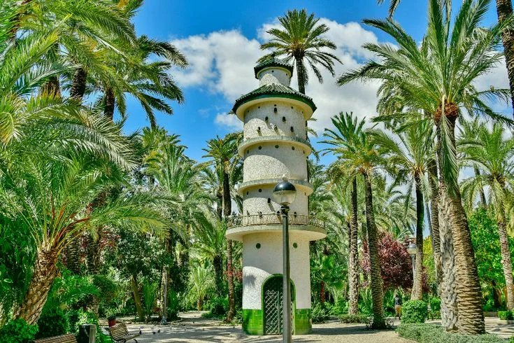 Vista general del Palmeral de Elche, paisaje cultural y patrimonio arquitectónico español