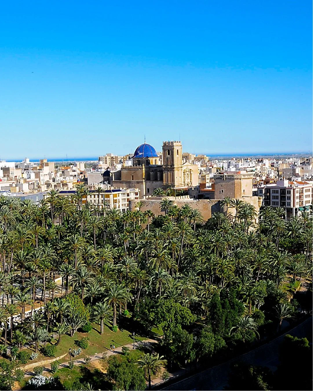 Patrimonio Arquitectónico Español: Sitios Patrimonio Mundial UNESCO Explicados 3 Caminos entre palmeras en el Palmeral de Elche, ejemplo único de patrimonio arquitectónico español