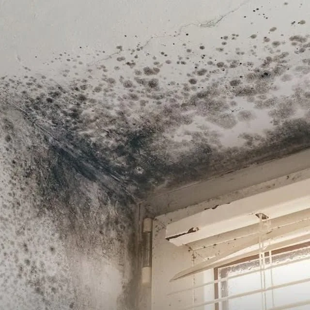 Soluciones para la Transición Estacional en Viviendas Residenciales 1 Moho por condensación; solución con ventilación mecánica controlada