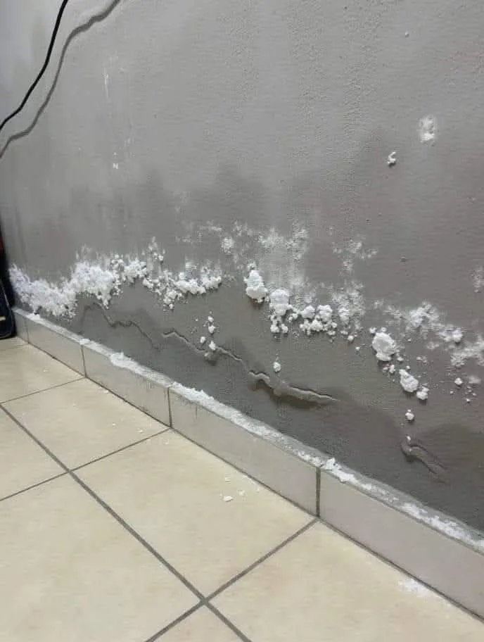 Soluciones para la Transición Estacional en Viviendas Residenciales 2 Salitre por capilaridad en zócalo; mejora con ventilación y soluciones constructivas específicas.